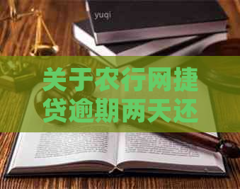 关于农行网捷贷逾期两天还款是否会影响信用的探讨