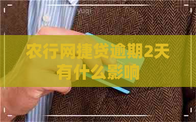 农行网捷贷逾期2天有什么影响