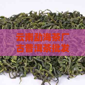 云南勐海茶厂古普洱茶批发价格与图片