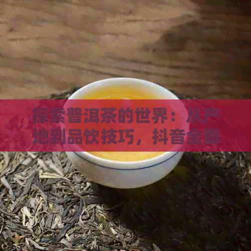 探索普洱茶的世界：从产地到品饮技巧，抖音全面解答您的疑惑