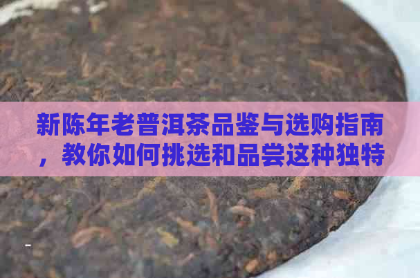 新陈年老普洱茶品鉴与选购指南，教你如何挑选和品尝这种独特的茶叶