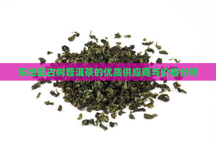 东地区古树普洱茶的优质供应商与价格分析