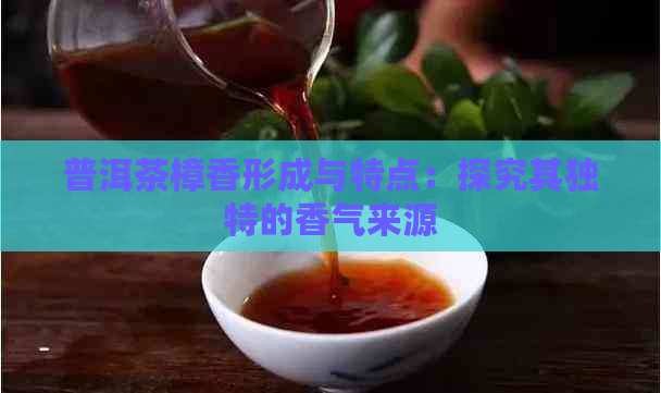 普洱茶樟香形成与特点：探究其独特的香气来源