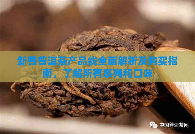 新香普洱茶产品线全面解析及购买指南，了解所有系列和口味