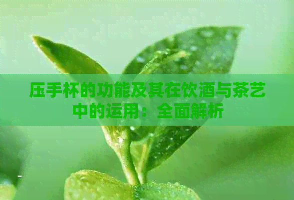 压手杯的功能及其在饮酒与茶艺中的运用：全面解析