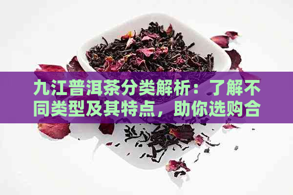 九江普洱茶分类解析：了解不同类型及其特点，助你选购合适的茶叶