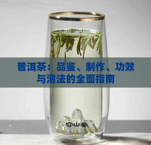 普洱茶：品鉴、制作、功效与泡法的全面指南