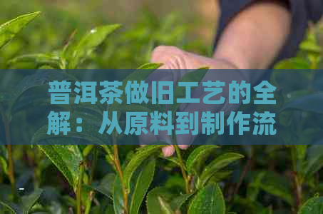 普洱茶做旧工艺的全解：从原料到制作流程，了解如何制作具有历感的普洱茶