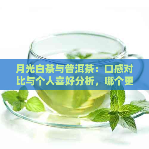 月光白茶与普洱茶：口感对比与个人喜好分析，哪个更适合你？