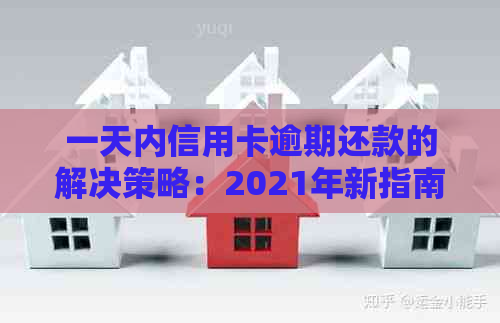 一天内信用卡逾期还款的解决策略：2021年新指南