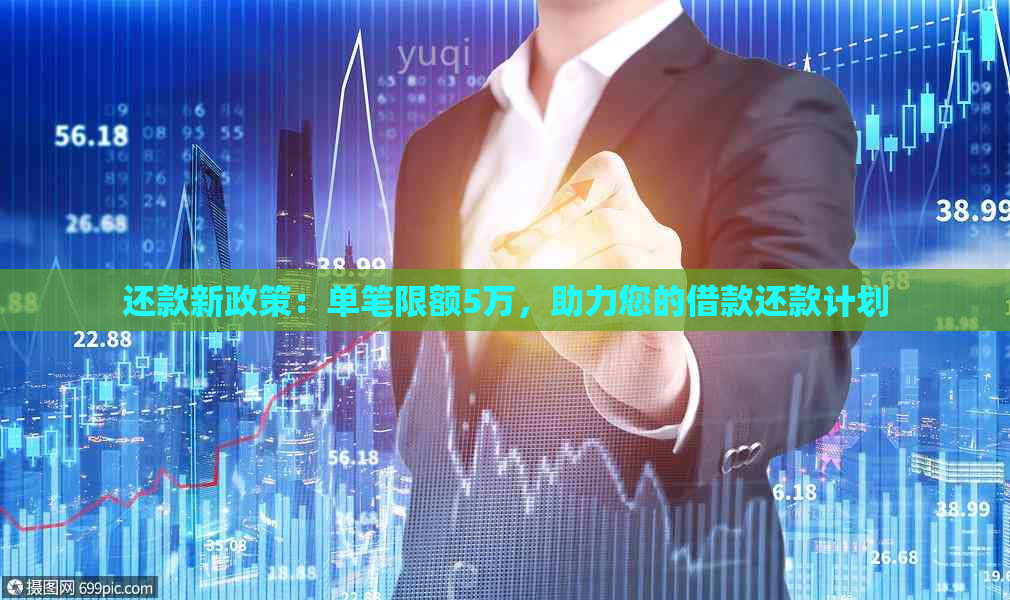 还款新政策：单笔限额5万，助力您的借款还款计划