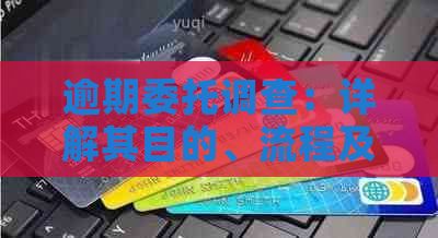 逾期委托调查：详解其目的、流程及相关注意事项，解决用户可能的搜索需求