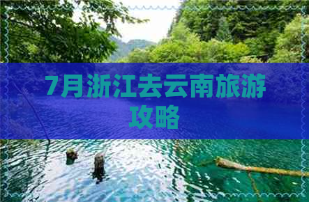 7月浙江去云南旅游攻略