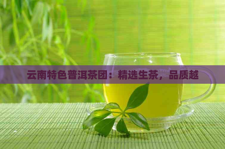 云南特色普洱茶团：精选生茶，品质越