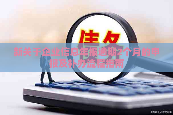 新关于企业信息年报逾期2个月的申报及补办流程指南