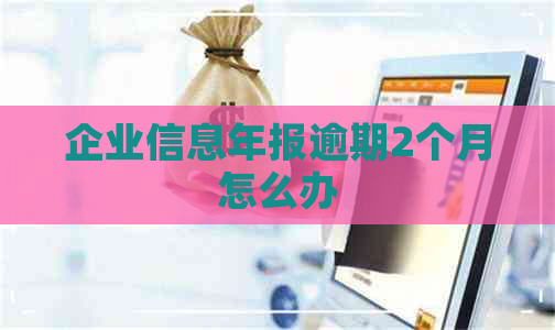 企业信息年报逾期2个月怎么办