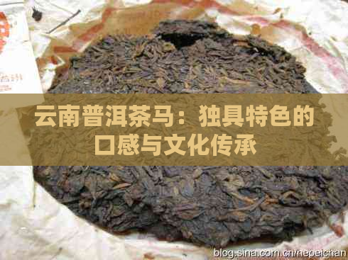 云南普洱茶马：独具特色的口感与文化传承