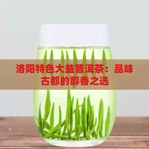 洛阳特色大益普洱茶：品味古都的醇香之选