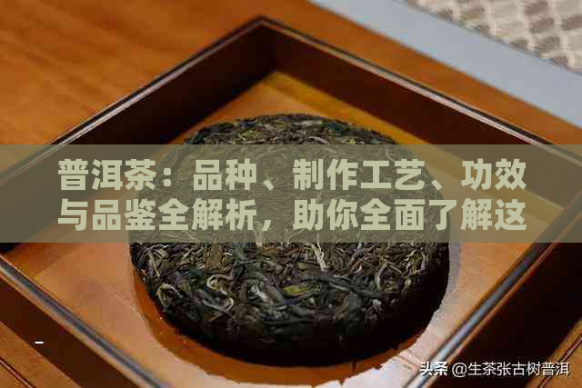 普洱茶：品种、制作工艺、功效与品鉴全解析，助你全面了解这一中国名茶