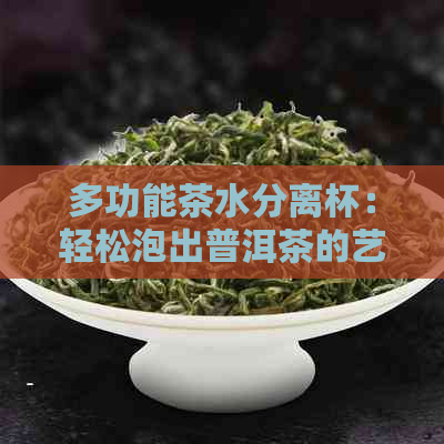 多功能茶水分离杯：轻松泡出普洱茶的艺术与科学