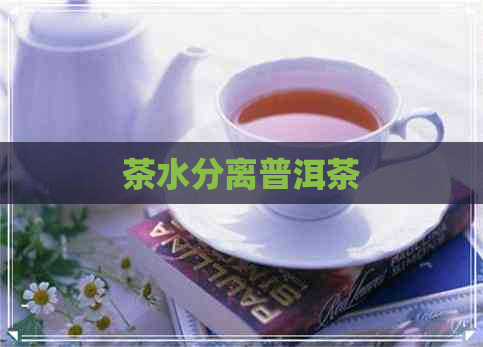 茶水分离普洱茶