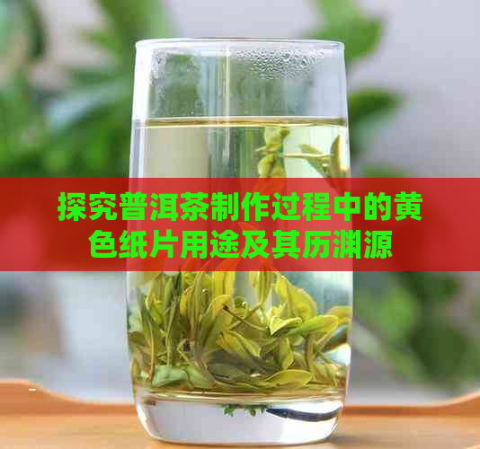 探究普洱茶制作过程中的黄色纸片用途及其历渊源