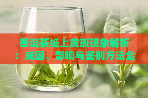 普洱茶纸上黄斑现象解析：成因、影响与鉴别方法全解