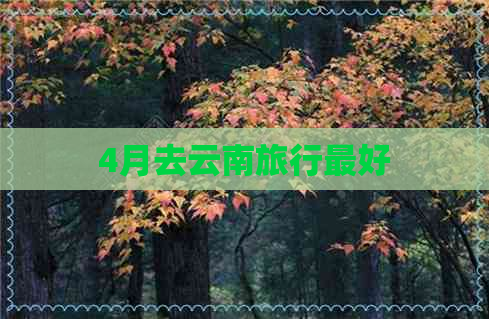 4月去云南旅行更好