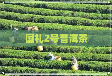 国礼2号普洱茶