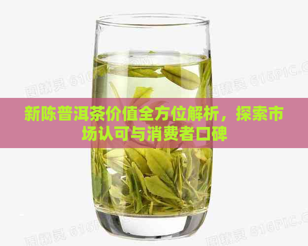 新陈普洱茶价值全方位解析，探索市场认可与消费者口碑