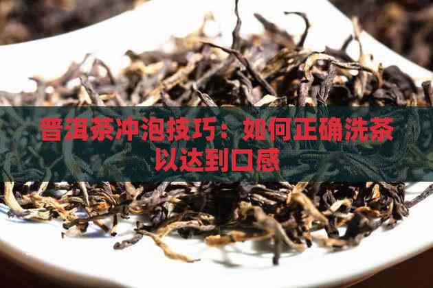 普洱茶冲泡技巧：如何正确洗茶以达到口感