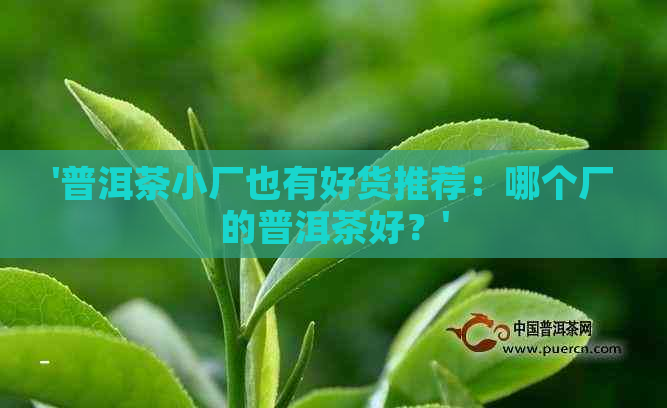 '普洱茶小厂也有好货推荐：哪个厂的普洱茶好？'