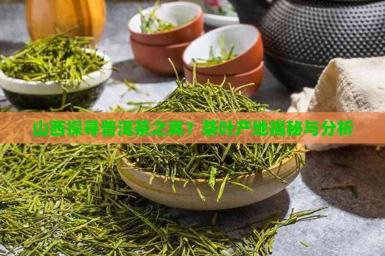 山西探寻普洱茶之真？茶叶产地揭秘与分析