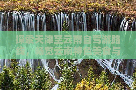 探索天津至云南自驾游路线，畅览云南特色美食与文化景点攻略