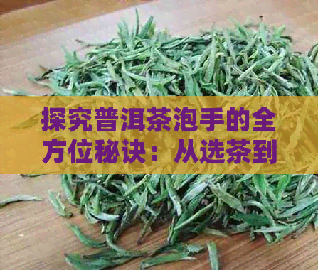 探究普洱茶泡手的全方位秘诀：从选茶到冲泡，让你轻松掌握泡茶技巧