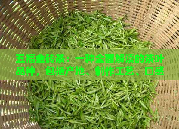 五福金砖茶：一种全面解读的茶叶品种，包括产地、制作工艺、口感和功效等