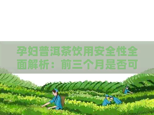 孕妇普洱茶饮用安全性全面解析：前三个月是否可饮用及其它注意事项