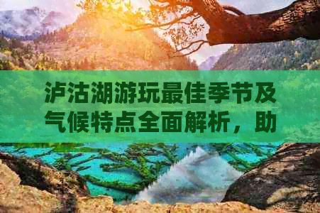 泸沽湖游玩更佳季节及气候特点全面解析，助您规划完美旅行计划