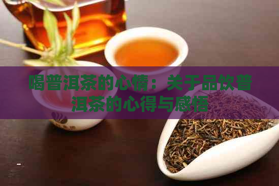 喝普洱茶的心情：关于品饮普洱茶的心得与感悟