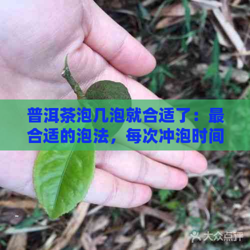 普洱茶泡几泡就合适了：最合适的泡法，每次冲泡时间与次数详解