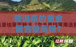 普洱茶的重金属含量高吗？能喝吗？普洱茶重金属超标吗？