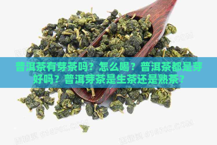 普洱茶有芽茶吗？怎么喝？普洱茶都是芽好吗？普洱芽茶是生茶还是熟茶？