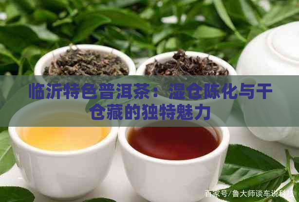 临沂特色普洱茶：湿仓陈化与干仓藏的独特魅力