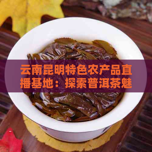 云南昆明特色农产品直播基地：探索普洱茶魅力，助力电商新模式