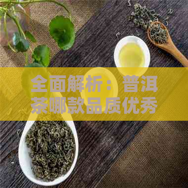 全面解析：普洱茶哪款品质优秀且价格合理？