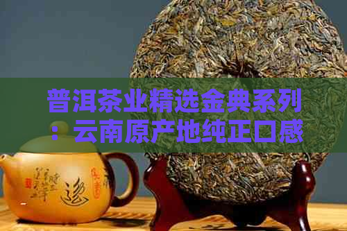 普洱茶业精选金典系列：云南原产地纯正口感，品质保证，价格优