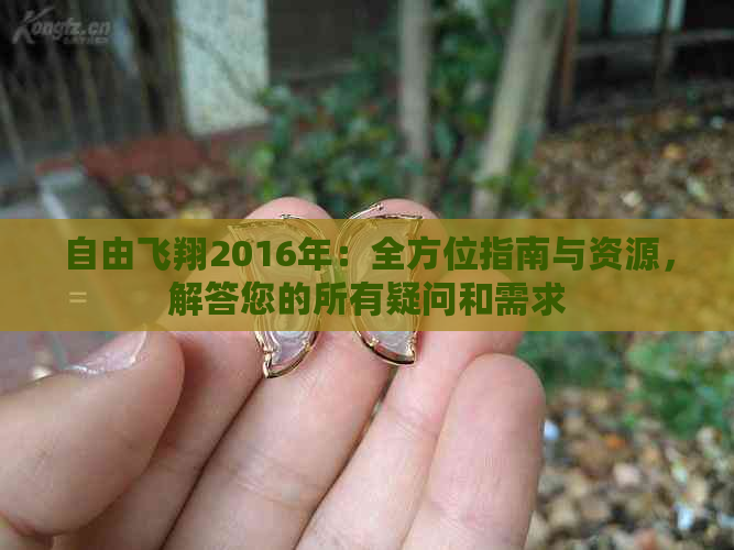 自由飞翔2016年：全方位指南与资源，解答您的所有疑问和需求