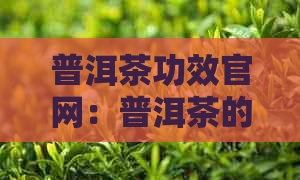 普洱茶功效官网：普洱茶的功效、作用及食用方法详解