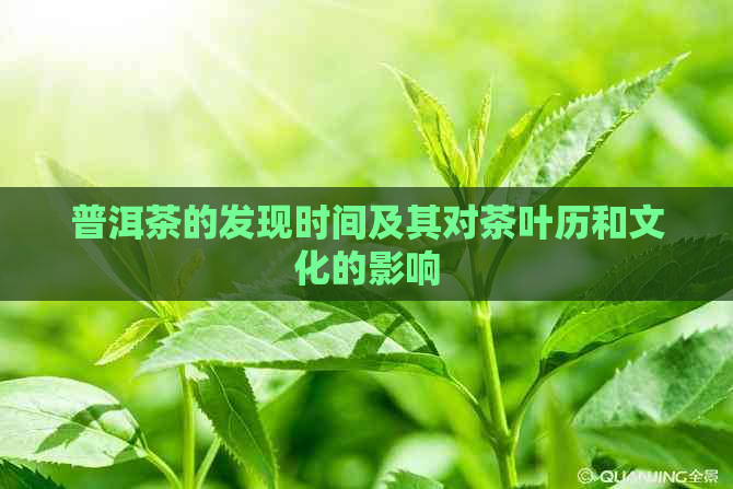 普洱茶的发现时间及其对茶叶历和文化的影响