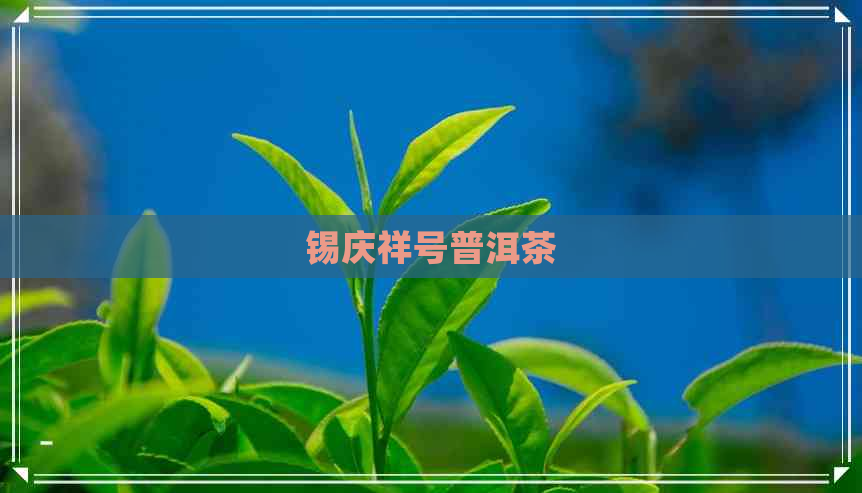 锡庆祥号普洱茶